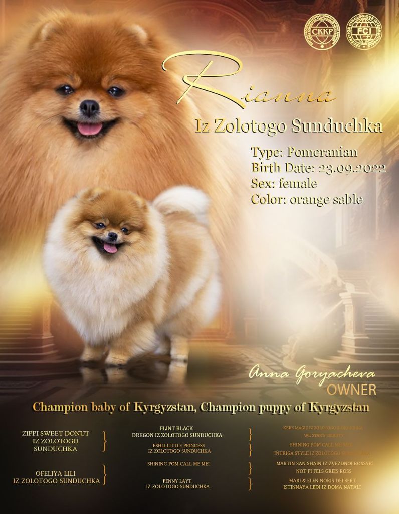 Riana iz zolotogo sunduchka